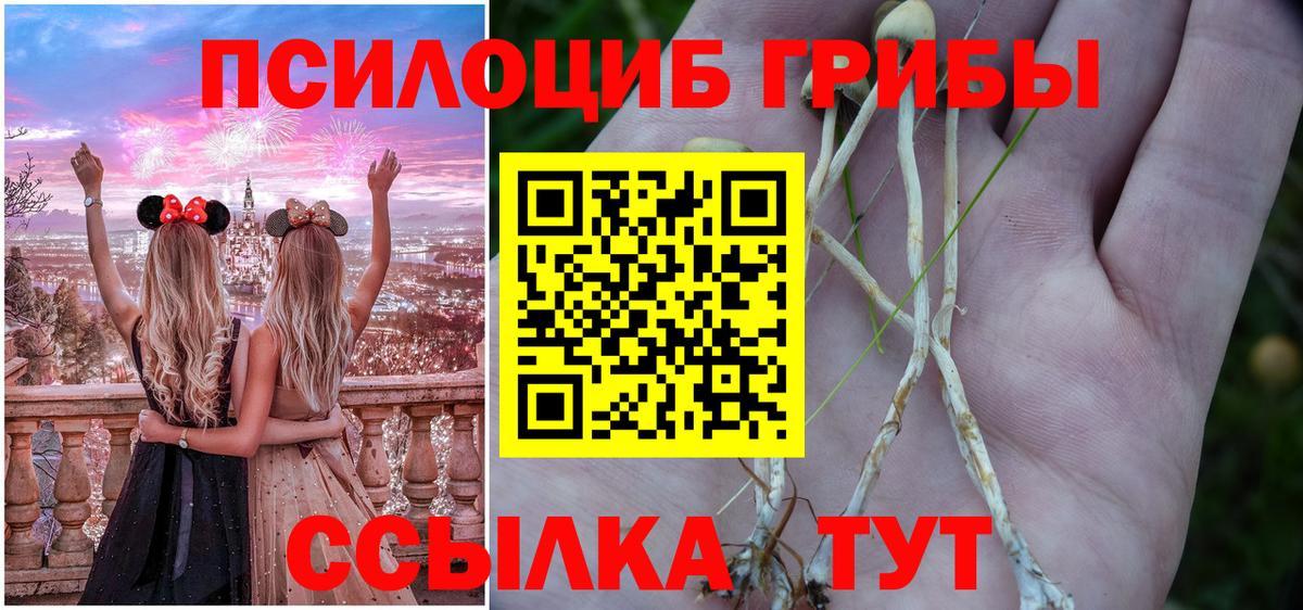 Галлюциногенные грибы Psilocybe Трёхгорный