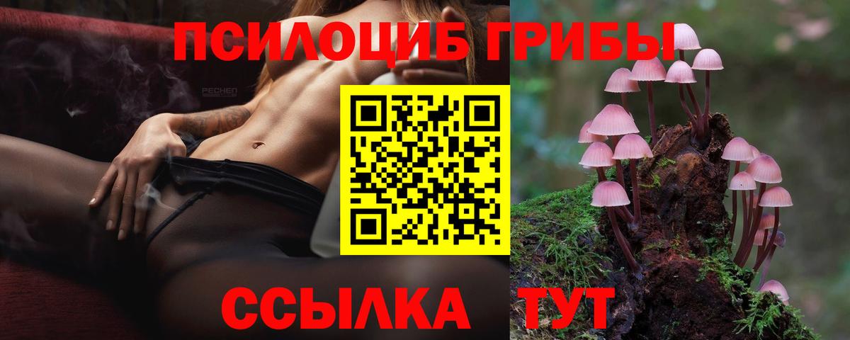 Трёхгорный  Галлюциногенные грибы Psilocybine cubensis  Вход с VPN 